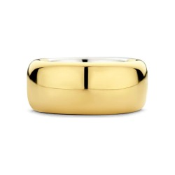 Ladies' Ring Ti Sento 12234SY/56 16