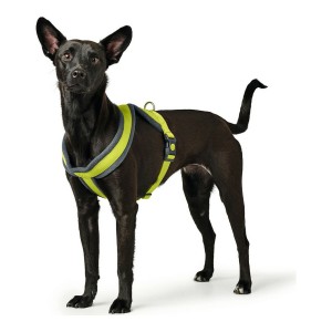 Hundegeschirr Hunter London Comfort 39-47 cm Neongrün XS/S