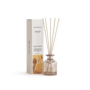 Bâtonnets Parfumés Mikado Romimex Origins Orange Canelle 100 ml