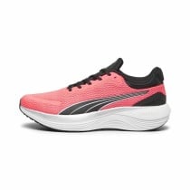 Running Shoes for Adults Puma Scend Pro Salmon