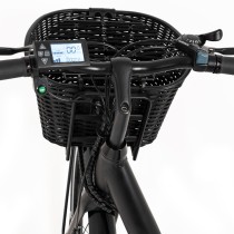 Electric Bike Youin BK2226B Black 250 W 26"