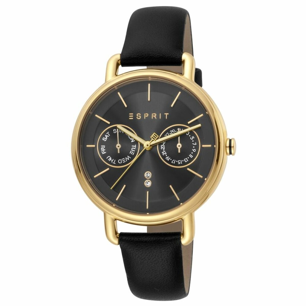 Montre Femme Esprit ES1L179L0045