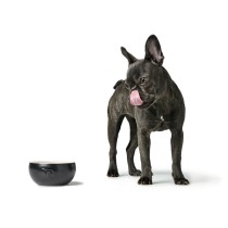 Dog Feeder Hunter Black Ceramic Silicone 550 ml Modern