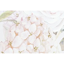 Cadre DKD Home Decor 120 x 3 x 60 cm Fleurs Shabby Chic (2 Unités)