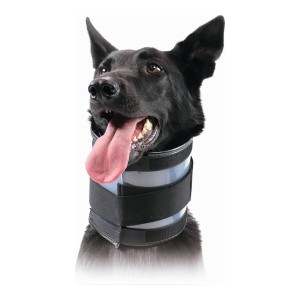 Halskrause für Hunde KVP Schwarz (9-36 cm)