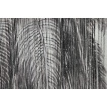 Painting Home ESPRIT White Black Palms Tropical 80 x 3 x 120 cm (2 Units)