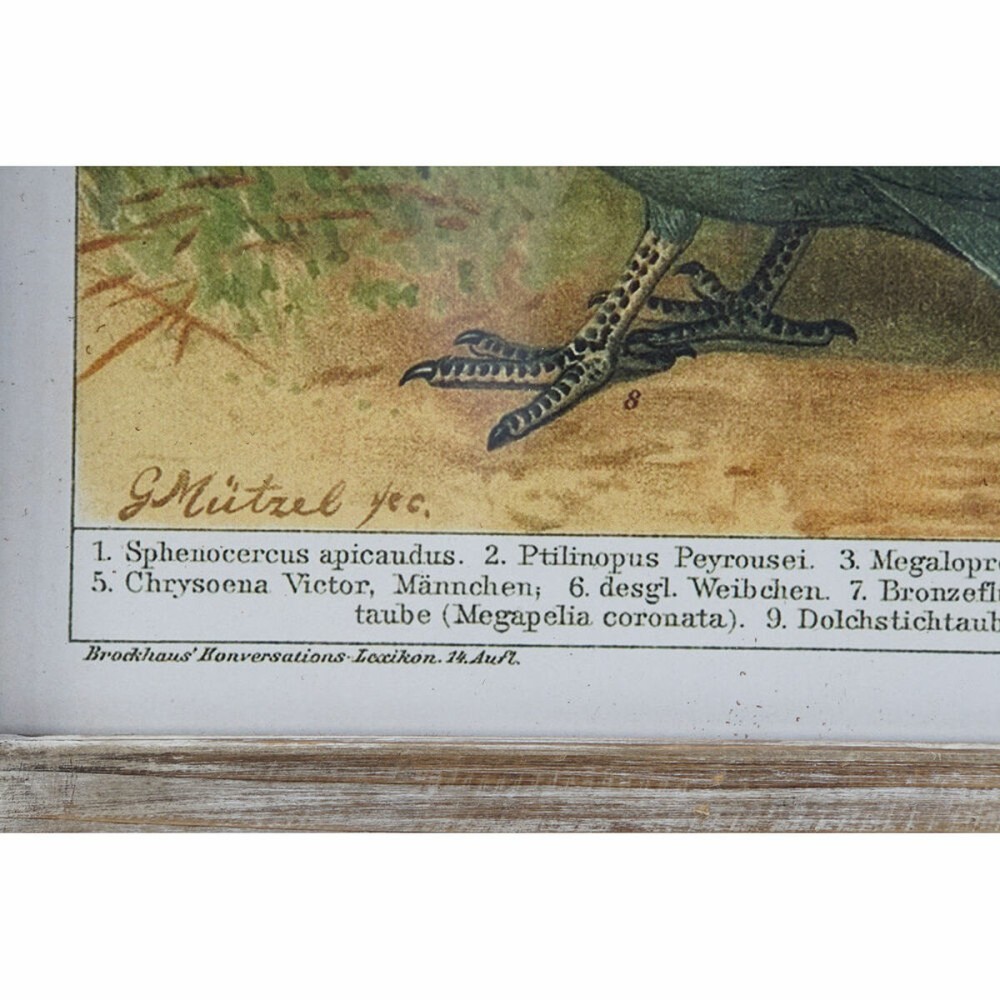 Bild DKD Home Decor 45 x 2 x 65 cm Vögel Cottage (4 Stücke)