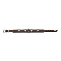 Hundehalsband Hunter Swiss 47-54 cm