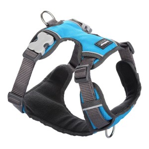 Dog Harness Red Dingo Padded Turquoise Size XL