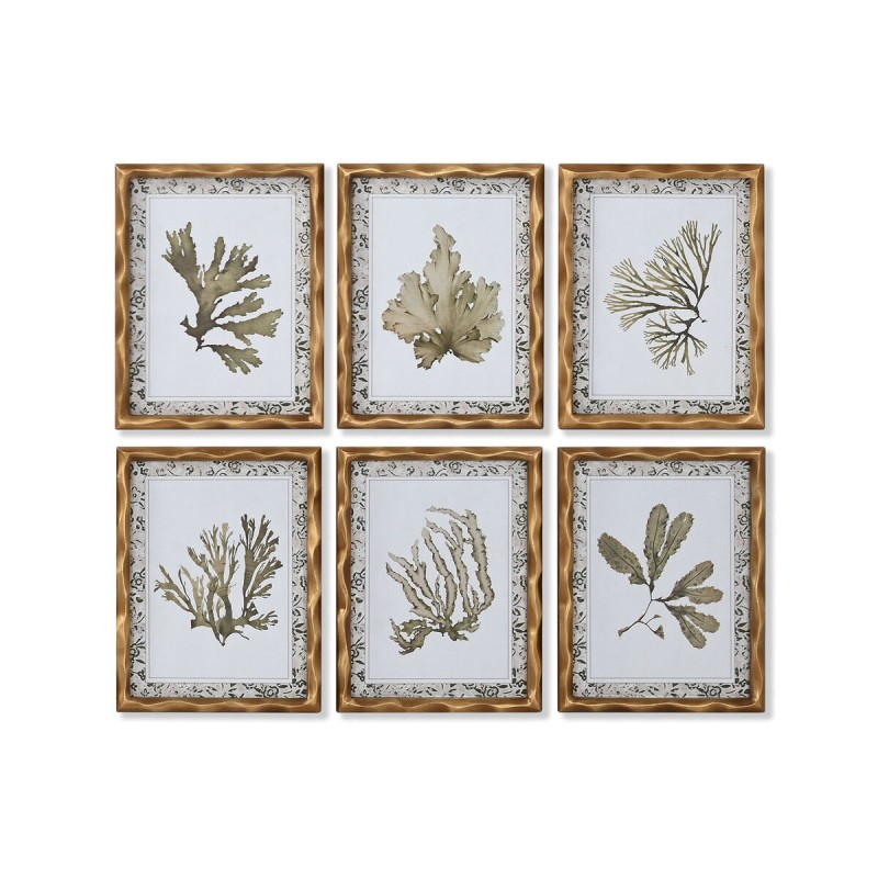 Bild Home ESPRIT grün Beige Gold Botanische Pflanzen 28 x 2,8 x 36 cm (6 Stück)