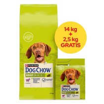 Fodder Purina Dog Chow Adult Lamb Lamb