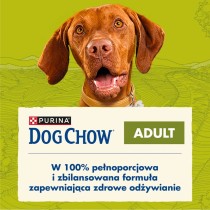 Fodder Purina Dog Chow Adult Lamb Lamb