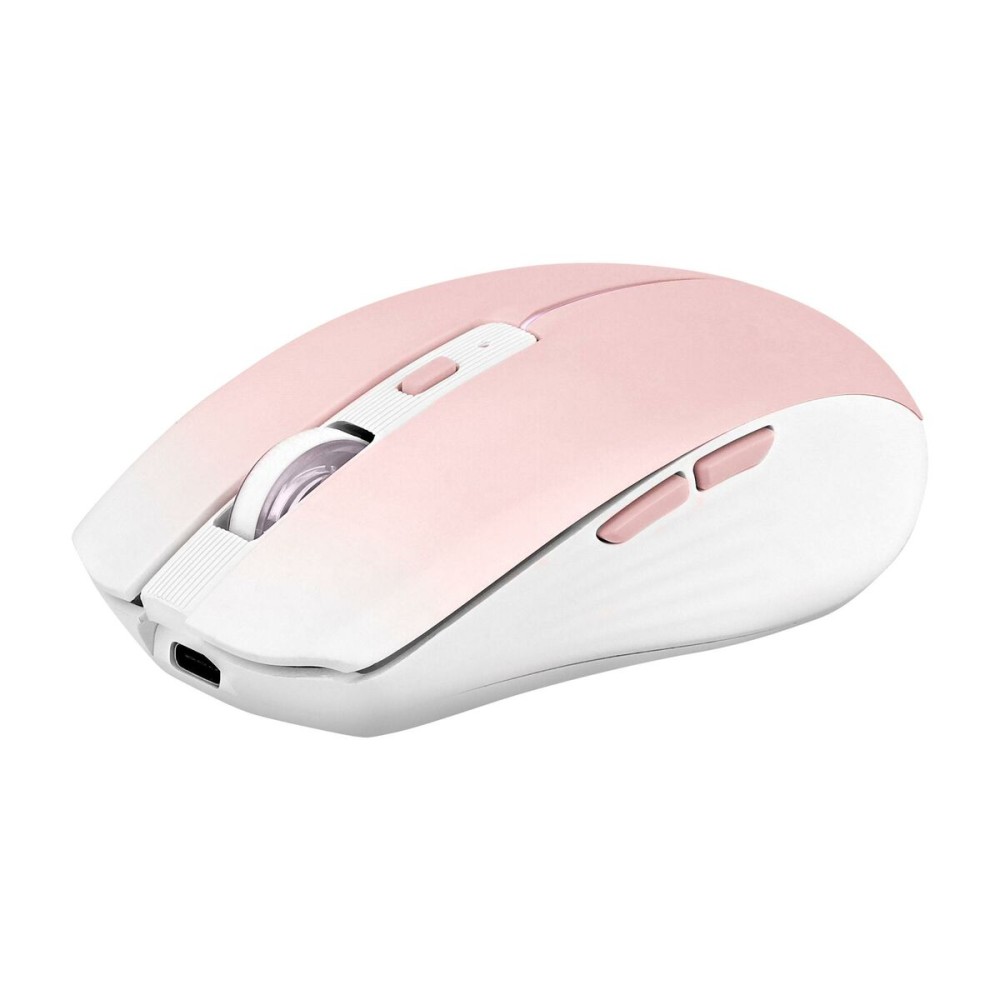 Souris TNB GRADIENT Rose