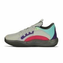 Basketballschuhe für Erwachsene Puma Court Rider Chaos Da Grau