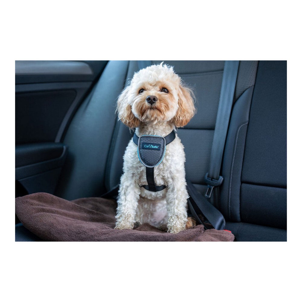 Hundegeschirr Company of Animals CarSafe Schwarz L