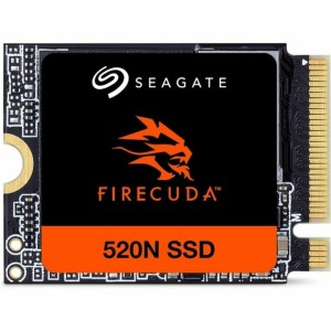 Festplatte Seagate ZP1024GV3A002 1 TB SSD