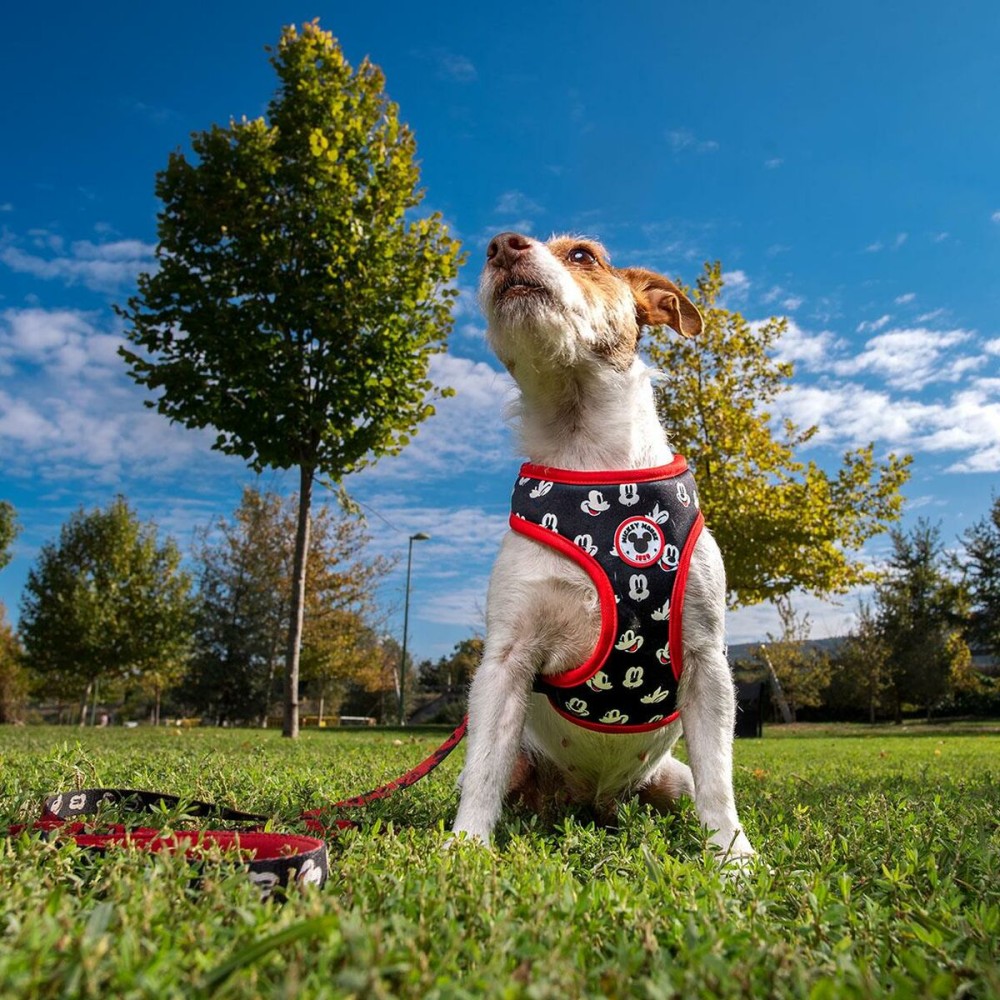 Dog Harness Mickey Mouse S/M Black