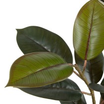 Plante décorative PVC Fer Ficus 49 x 45 x 125 cm