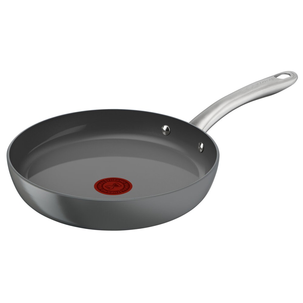 Poêle Tefal C4240253 Gris Aluminium Ø 20 cm