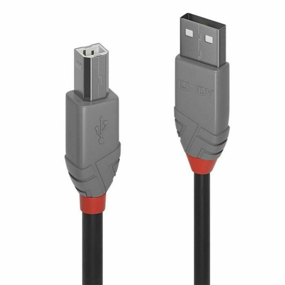 USB A zu USB-B-Kabel LINDY 36674 3 m Grau