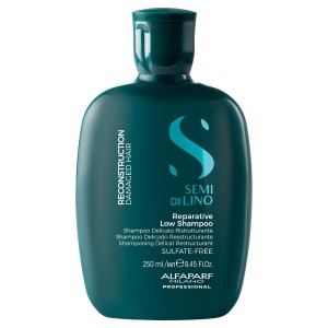 Shampooing réparateur Alfaparf Milano Semi Di Lino 250 ml