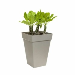 Plant pot Elho Ø 29,5 cm Anthracite polypropylene Plastic Squared