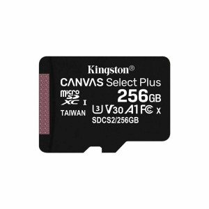 Carte Mémoire Micro SD avec Adaptateur Kingston Canvas Select Plus 256 GB