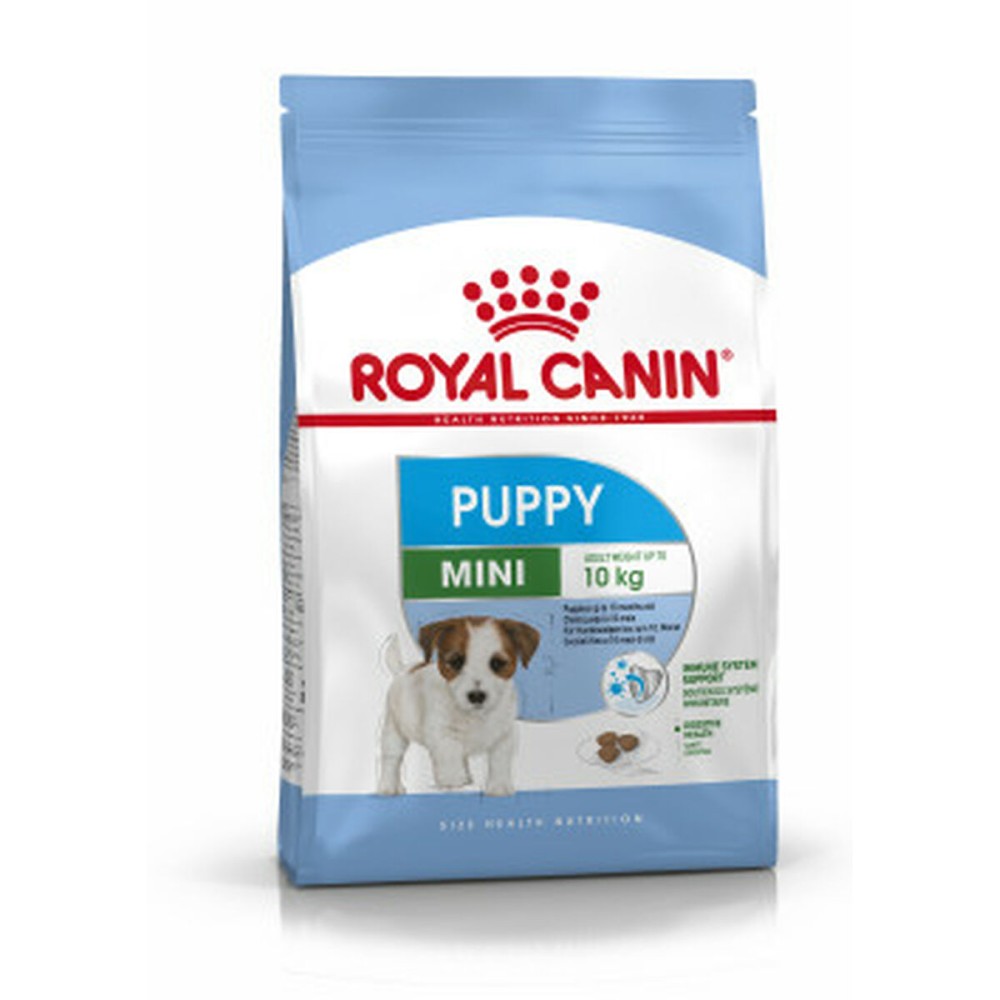 Fodder Royal Canin Mini Puppy Kid/Junior Chicken Rice Birds 2 Kg