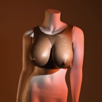 Breast prostheses Gender X