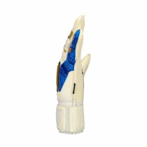 Torwarthandschuhe Rinat Egotiko Vengador Prime Bunt