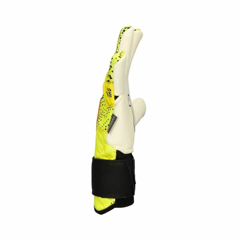 Torwarthandschuhe Rinat Xtreme Guard Dominius Alpha Bunt Erwachsene