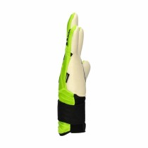 Gants de Gardien de But Rinat Aries Némesis Prime Multicouleur Adultes