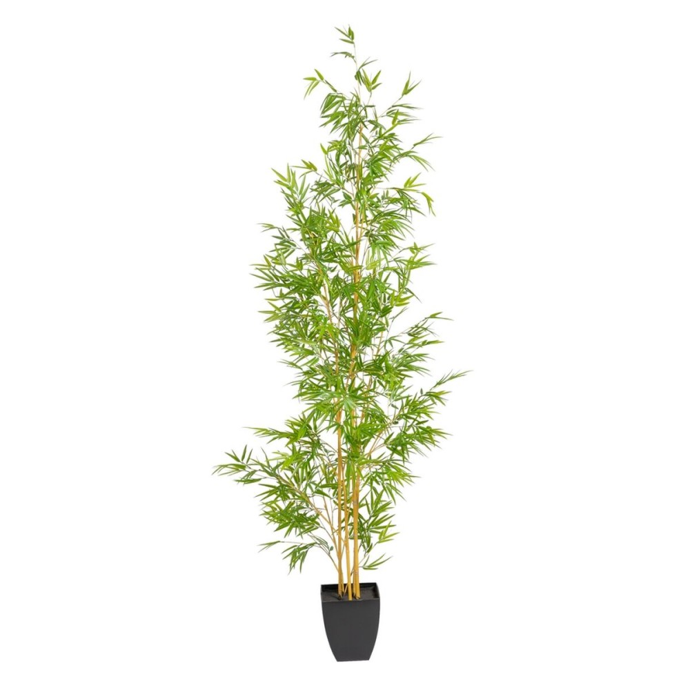 Decorative Plant Polyethylene Bamboo 90 x 86 x 220 cm