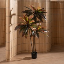 Plante décorative Caoutchouc polypropylène 80 X 80 X 165 CM