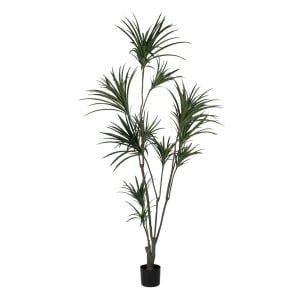 Plante décorative Caoutchouc polypropylène 90 X 90 X 220 CM