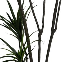 Plante décorative Caoutchouc polypropylène 90 X 90 X 220 CM