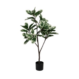 Plante décorative Caoutchouc polypropylène 50 x 50 x 120 cm