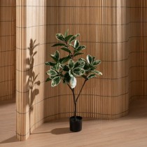 Plante décorative Caoutchouc polypropylène 50 x 50 x 120 cm