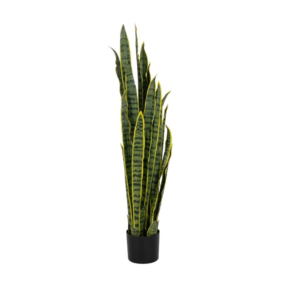 Decorative Plant Rubber polypropylene 20 X 20 X 115 CM