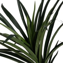 Decorative Plant Rubber polypropylene 70 x 70 x 130 cm