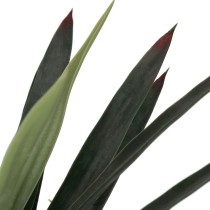 Plante décorative Caoutchouc polypropylène yucca 40 x 40 x 125 cm