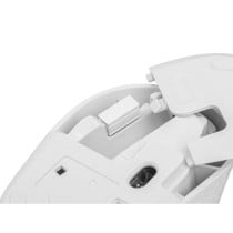 Mouse Natec NMY-2188 White 1600 dpi