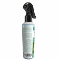 Désodorisant Pour Voiture PER70026 200 ml Menthe