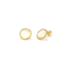 Ladies' Earrings Radiant RY000178