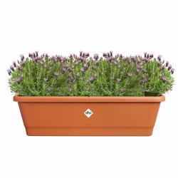 Plant pot Elho Brown 65 x 20 x 18 cm Plastic Squared