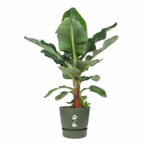 Plant pot Elho Green Ø 55 cm Plastic