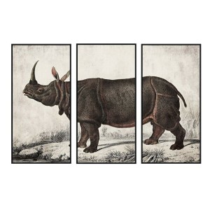 Cadre DKD Home Decor Colonial Rhinocéros (180 x 4 x 120 cm)