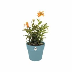 Plant pot Elho Blue Ø 35 cm Plastic Circular