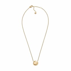 Collier Femme Skagen SKJ1774710