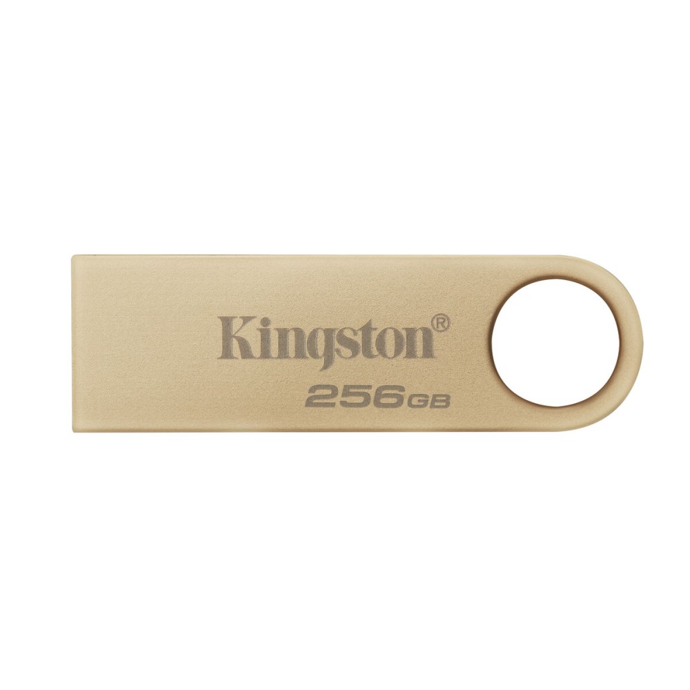 Clé USB Kingston DTSE9G3/256GB Or 256 GB (1 Unité)